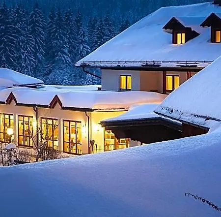 Wellness- Und Vitalhotel Boehmhof Отель