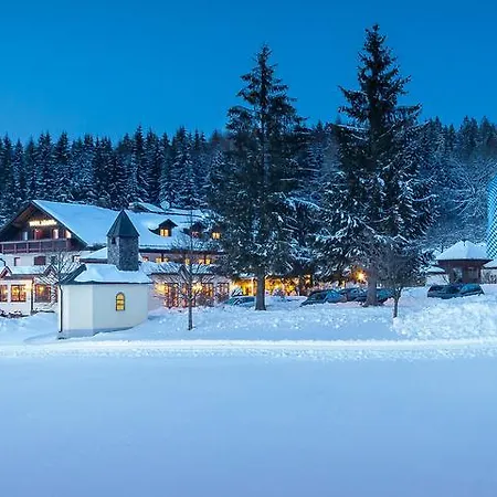 Отель Wellness- Und Vitalhotel Boehmhof Боденмайс
