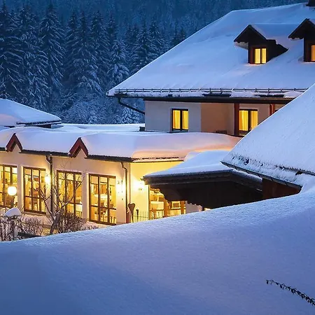 Wellness- Und Vitalhotel Böhmhof Bodenmais