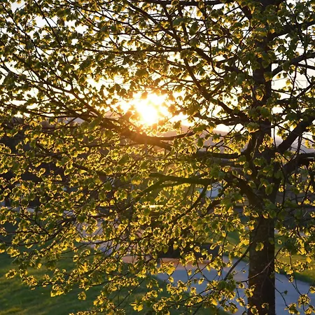Wellness- Und Vitalhotel Boehmhof