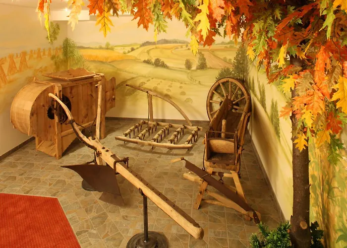 Wellness- Und Vitalhotel Boehmhof