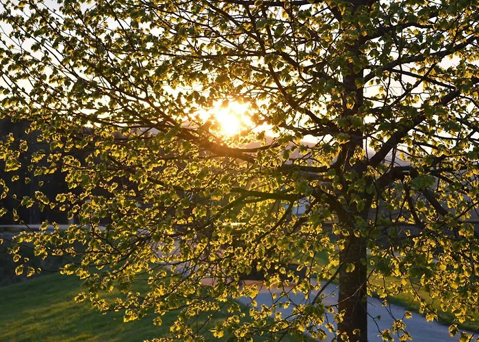 Wellness- Und Vitalhotel Boehmhof